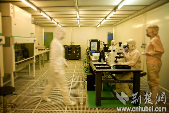 鸿运国际·(中国)最新官方网站